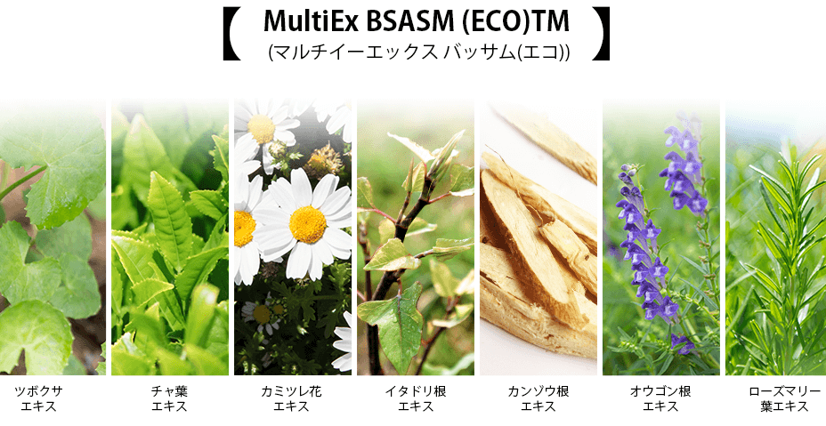 7つの天然ハーブ